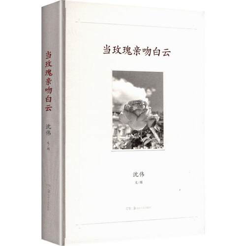 【活动促销】 当玫瑰亲吻白云 2026-06-01 湖南美术出版社
