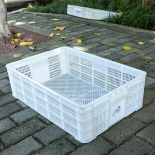 龙虾苗塑料筐加厚镂空长方形龙虾胶框水果蔬菜水产龙虾周转筐
