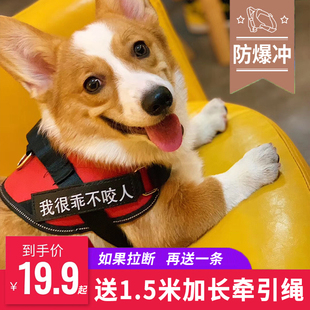 狗狗牵引绳中型大型犬金毛拉布拉多萨摩耶大狗背心式胸背带遛狗绳