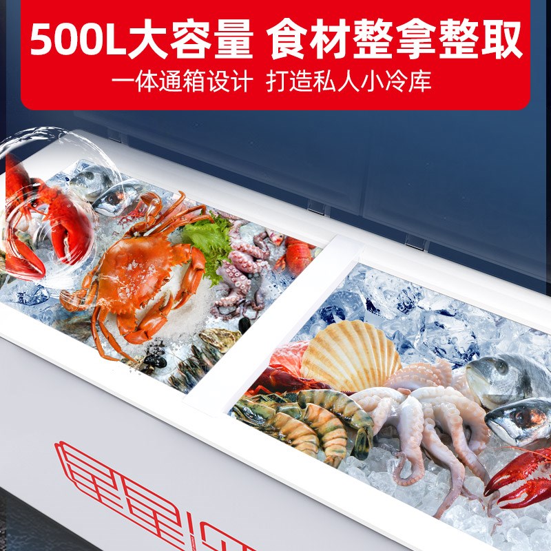 星星冷柜500R冰柜家商用卧式冷柜700R保鲜冷冻两用冷藏柜冰箱400R