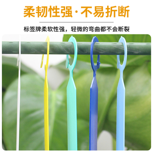 环套标签加厚塑料防水植物记号分类色卡悬挂式标记葡萄苗木花卉