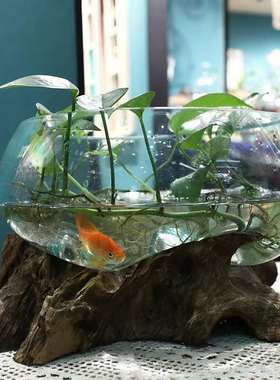 沉木枯木创意个性绿萝铜钱草玻璃水培花插 禅意 新中式小鱼缸摆件