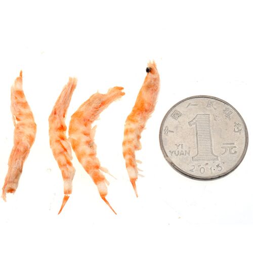 南极磷虾冻干虾金龙银龙鱼食鹦鹉罗汉发财地图龟粮虾干热带鱼饲料