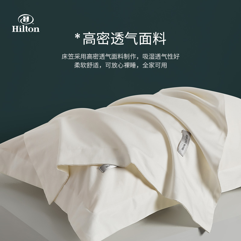 酒店100支长绒棉纯棉枕头套48cmx74cm一对装全棉高级感