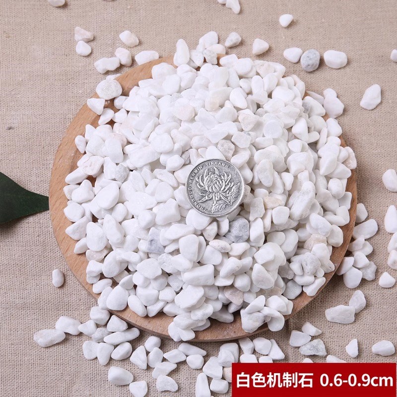 盆栽白色石子石头大鹅卵石庭院铺路铺地小白石头造景景观白石子