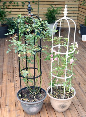 室外白色支架家用爬藤架园艺简易绿植U型8mm月季攀爬植物组合架