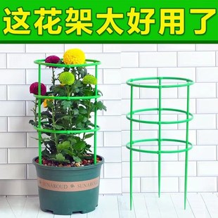 盆栽金钱树昙花专用花架爬藤支架固定花卉植物的花盆支撑杆架防倒
