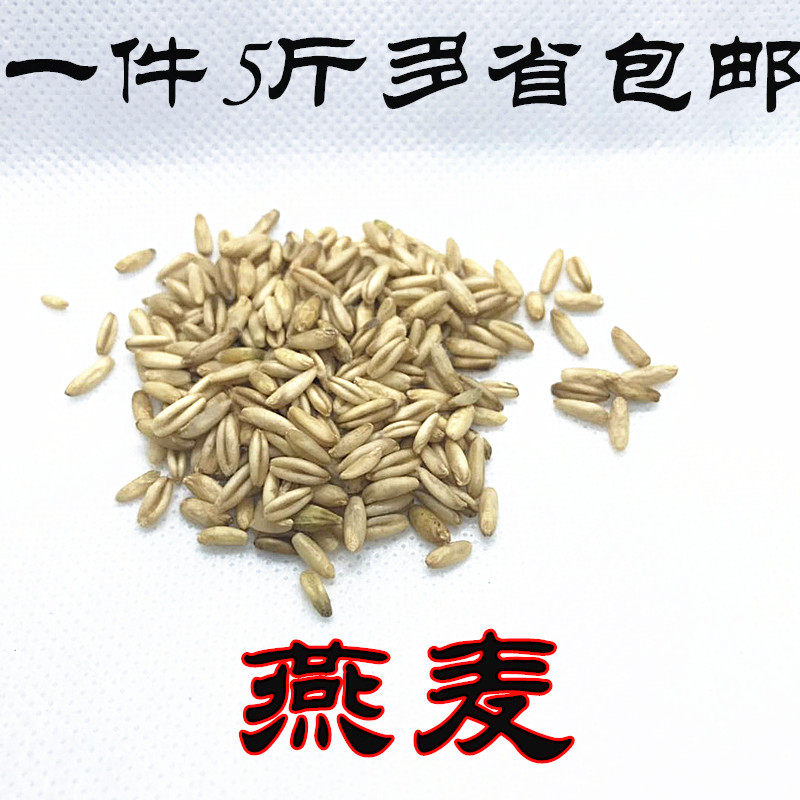 燕麦米/鸟食/鸟粮/雀麦/野麦/燕麦仁/虎皮鹦鹉/牡丹玄风1件5斤装