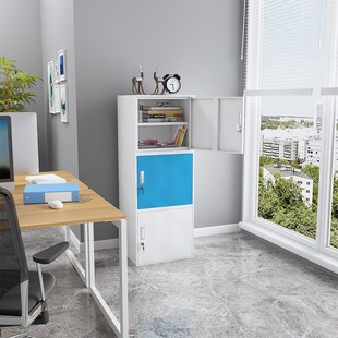 双锁食品添加剂专用柜精二药品柜毒麻柜铁皮文件柜不锈钢储物柜