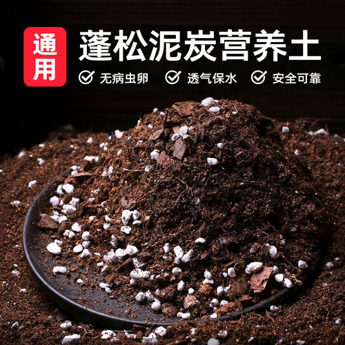 家用营养土花卉泥炭土养花专用