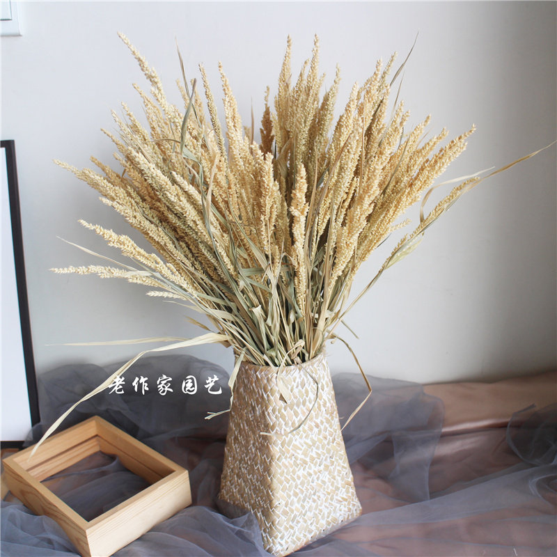 自然风干谷穗草干花包手工编制花篮真花花束摆拍道具家居装饰摆件