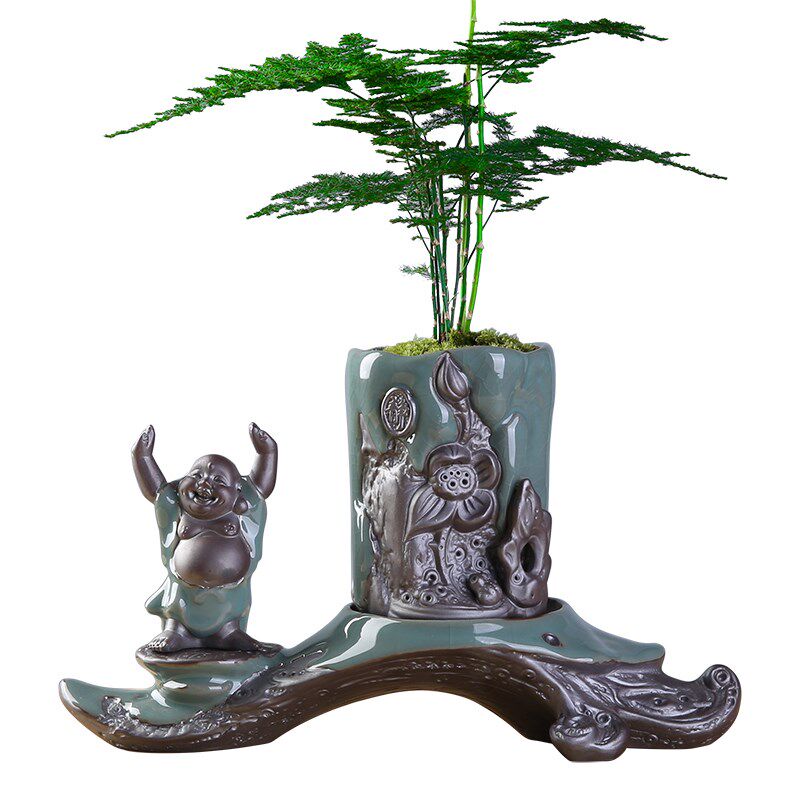 创意绿植文竹盆景植物家用个性办公室内盆栽陶瓷花盆客厅摆件装饰