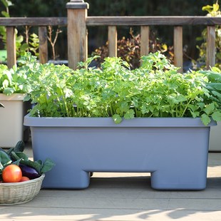 花素瑜阳台种菜盆栽专用箱长方形懒人塑料长条盆多肉室内花盆加厚