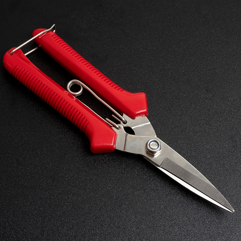 剪枝果园剪刀新款修刀园艺省力不锈钢蔬果葡萄鲜花强力弹簧修枝剪