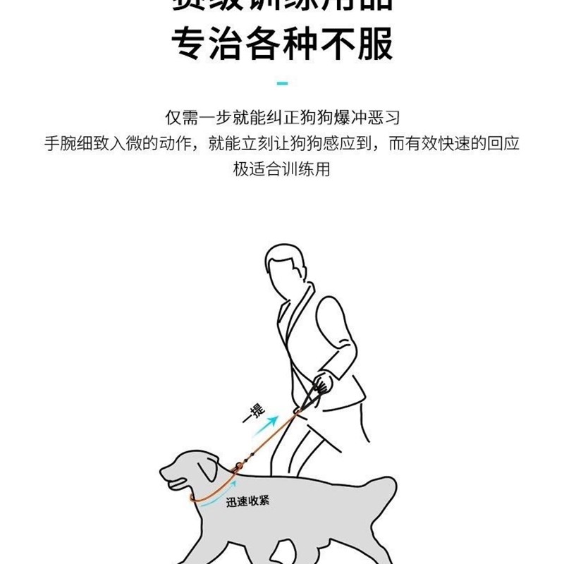 宠物P链P字绳训犬用品狗狗牵引绳遛狗绳子一拖二拖三可拆卸