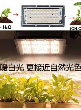 植物补光灯全光谱阳棚光代雨林多肉大蔬果花生长灯PTF爆灯藻水草