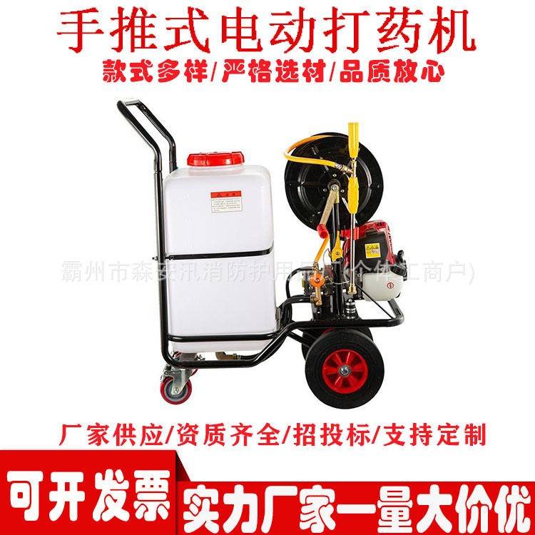 手推式电动打机消杀养殖场农用压汽油四冲程喷雾器