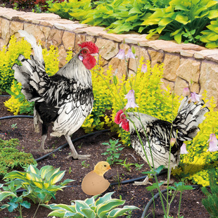 YKLU238亚克力鸡户外庭院地插园林花园Yard 饰插牌 Art双面图案装