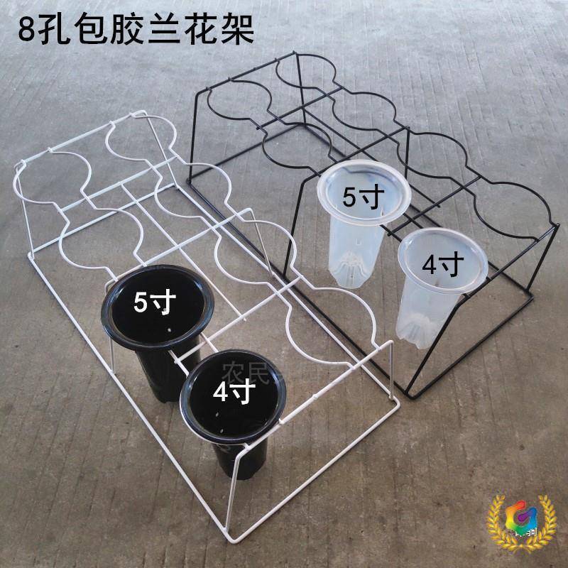 ◈8孔兰F$p$p#g&兰花草花花架子兰盆架固定花盆支架架落地式铁艺兰