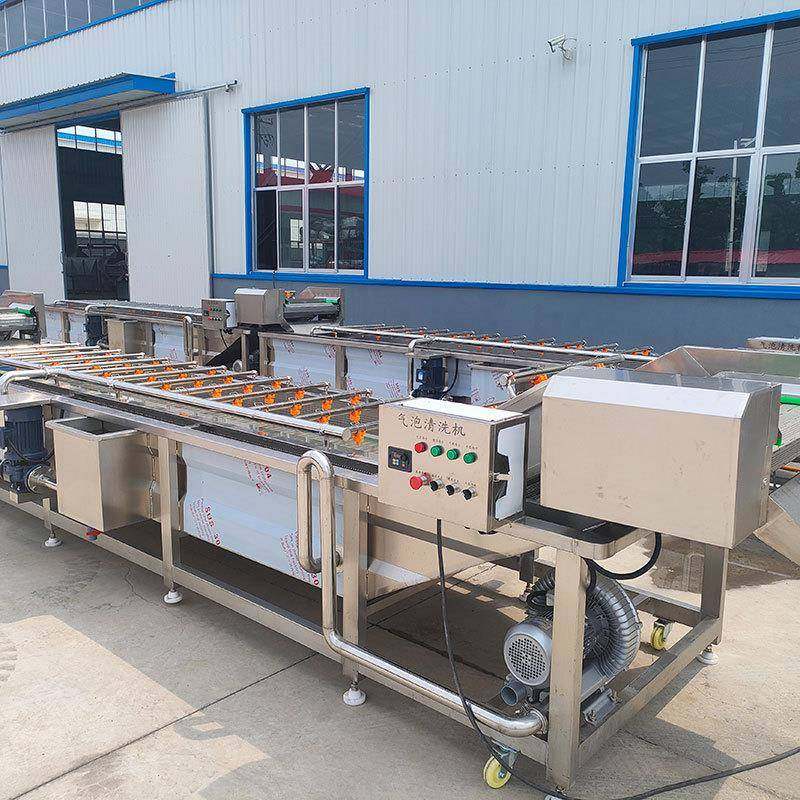 商用蔬菜清洗机洗菜机器大型果蔬气泡清洗机净菜加工自动化生产线