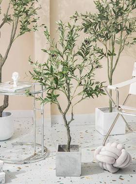 仿真植物盆栽仿生植假绿摆件真tb-66404橄榄树假客厅室树内卧仿室