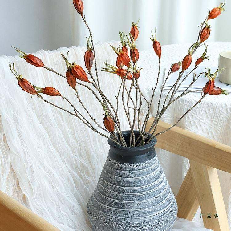民栀子果干花花束宿复古F986T6MM客厅装饰摆设插花干枝天然风干真