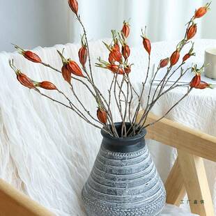 民栀子果干花花束宿复古F986T6MM客厅装饰摆设插花干枝天然风干真