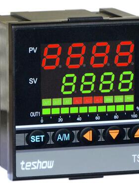 TS87经济型E带R100S控485表通讯温节能