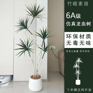 轻奢绿植千年木客装饰仿盆植物生厅12345678假花龙血绿栽植造景