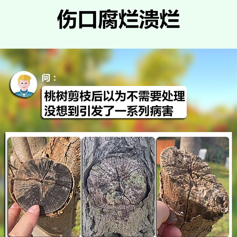 桃树伤口愈合剂果树木干树枝修剪嫁接专用促活药水移栽树营养泥液