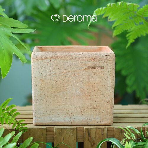 帝罗马Deroma定制款BOX哥本哈根系列植物盆栽手工白陶陶土花盆