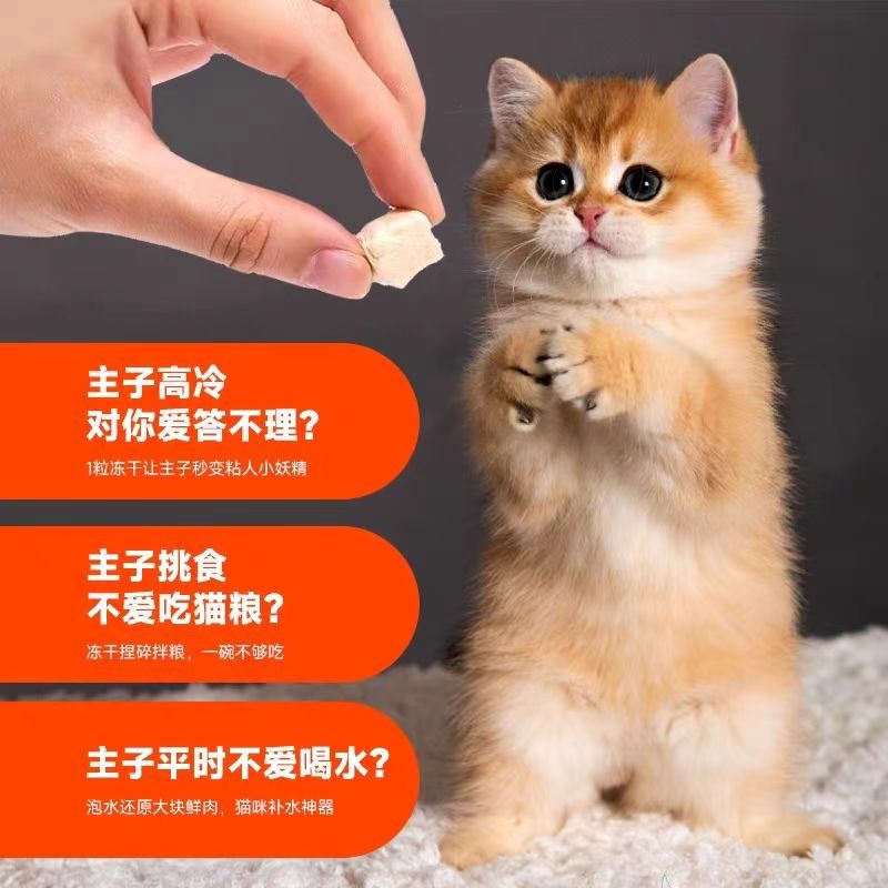 冻干猫零食鸡肉粒鸡胸肉宠物零食狗粮仓鼠乌龟磨牙猫咪冻干袋500g,宠物/宠物食品及用品,猫冻干零食,淘宝优惠券,粉丝福利购,淘宝优惠卷