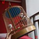包邮 成都画眉笼 全配 龙爪贴青笼子 竹子鸟笼 正宗手工川笼