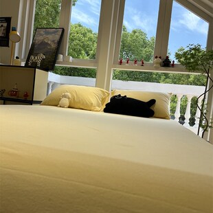 温柔奶油黄全棉床笠床单单件床罩1.35m纯棉保护套宿舍公寓少女心