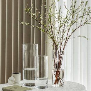 花瓶雪柳专用玻璃龙柳高级感轻奢插花摆件客厅水培绿植透明水养大