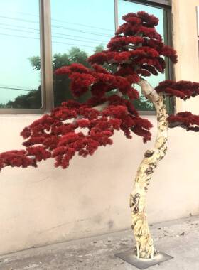 中大型仿真饰树迎客松250629罗汉造松酒店橱窗装松树新式室内景装