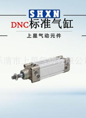 DNC托气缸费斯型标TAPP准缸DNC40/32/5/100X100-PA（Fes0to型）气