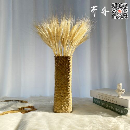天然麦穗干花摆件草编花瓶花篮真花束礼品大麦子客厅竹编装饰花卉