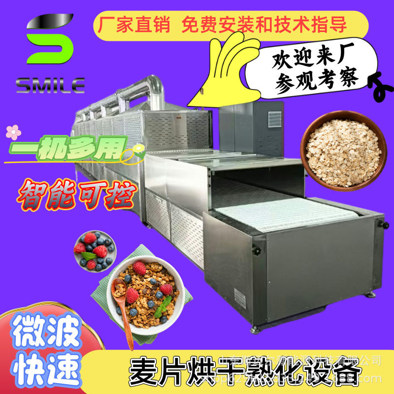 隧道式花生米烘焙设备 燕麦片低温熟化机燕麦水果干去水分