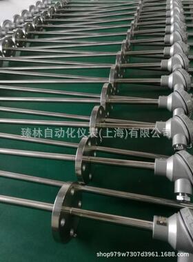热W4REN-2WRN-14B30耐磨电偶WERN-30