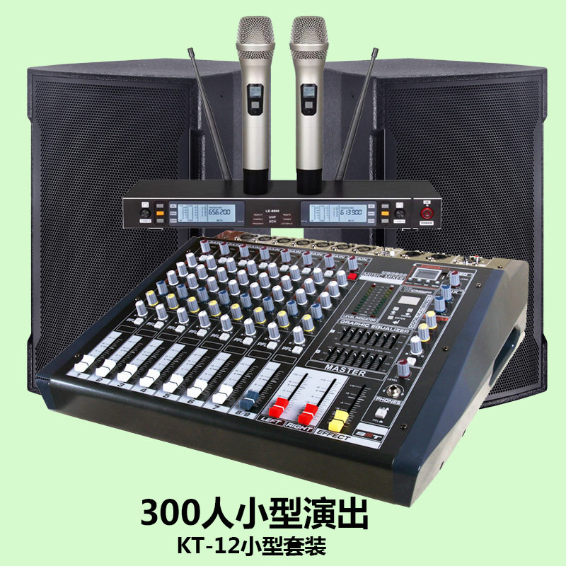 DZ-12 12寸全频音箱 专业ktv会议舞台酒吧音响 专业音响生产厂家