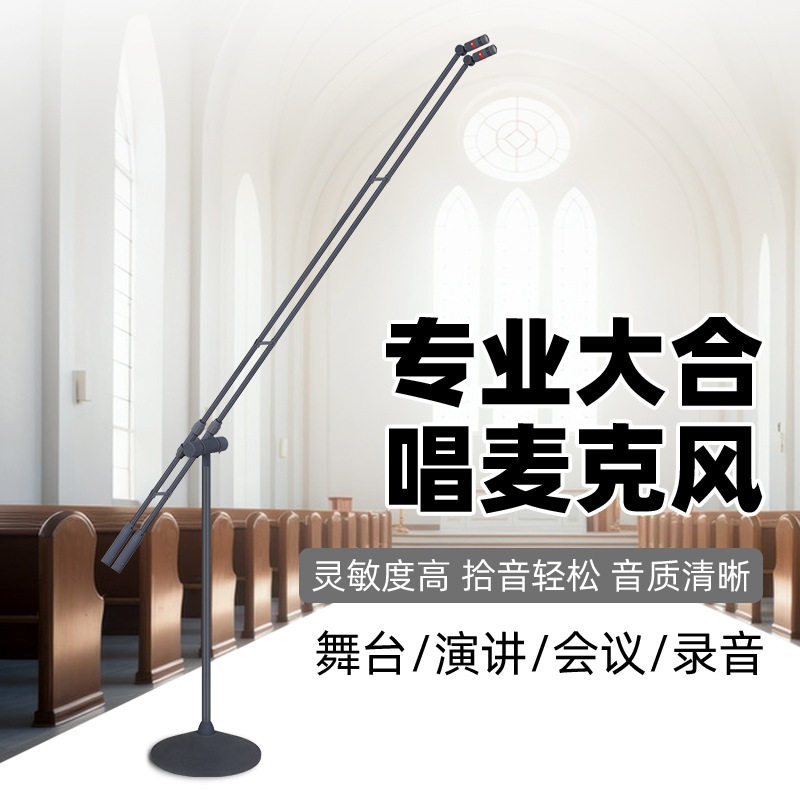 立式双杆演讲话筒演唱电容麦舞台有线麦克风超心型指向收音拾音