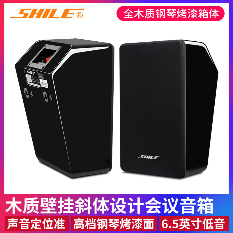 狮乐BG-6会议影院壁挂音箱