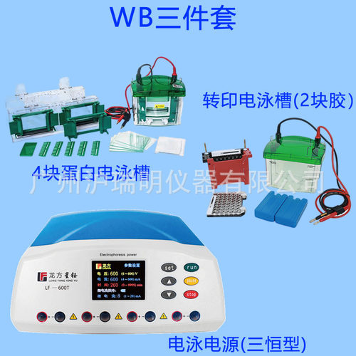蛋白转印电泳槽LF-600T电源+Mini4+ZY04龙方星钰