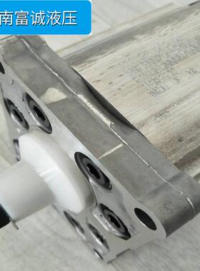 丹佛斯齿轮泵SNW3NN/044RN01BLNNCACANNNN/NNNNN磨煤机齿轮泵现货