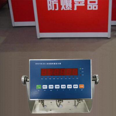 4-20mA电子防爆仪表485modbus防爆仪表电子防爆地磅防爆台秤仪表