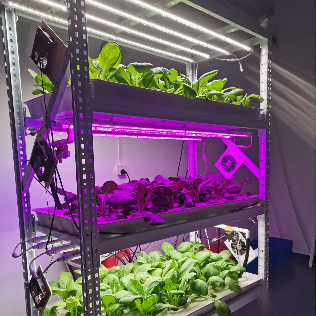 厂家直销无土栽培植物种植大棚架温室蔬菜设备潮汐盆种植架货架