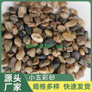 小五彩洗米石五彩水洗石彩色石米水磨石子胶粘石透水地坪沙石