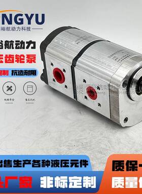 Hengyuhang齿轮泵替换力士乐Rexroth双联齿轮泵1518222961液压泵