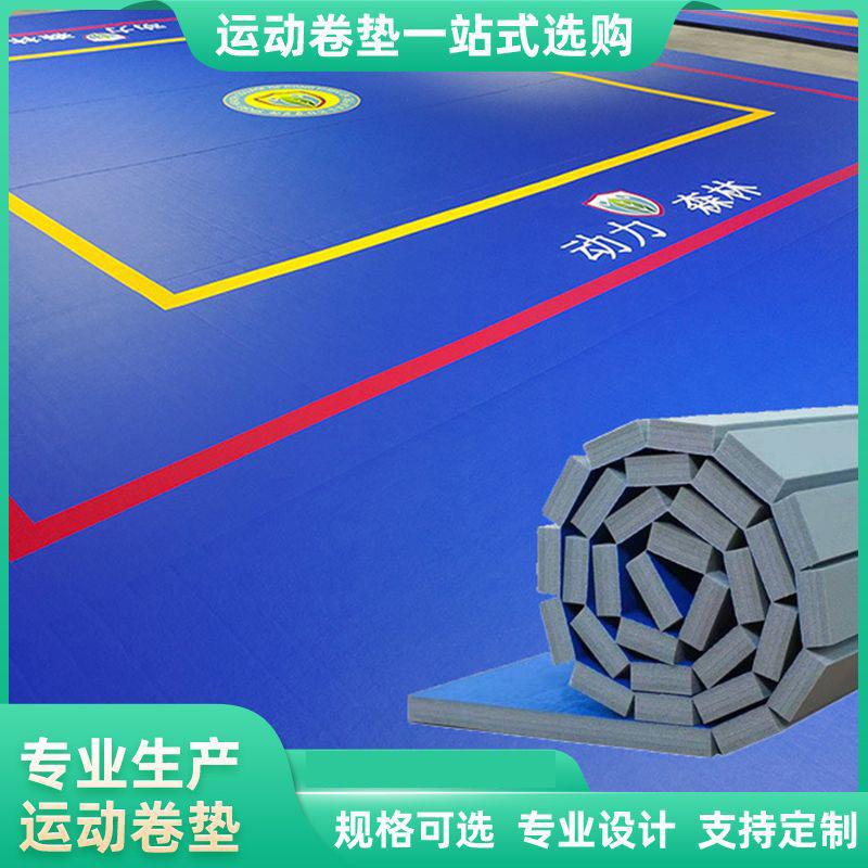 供应训练场减震隔音卷垫加厚地垫无缝XPE摔跤搏击垫子防震防滑